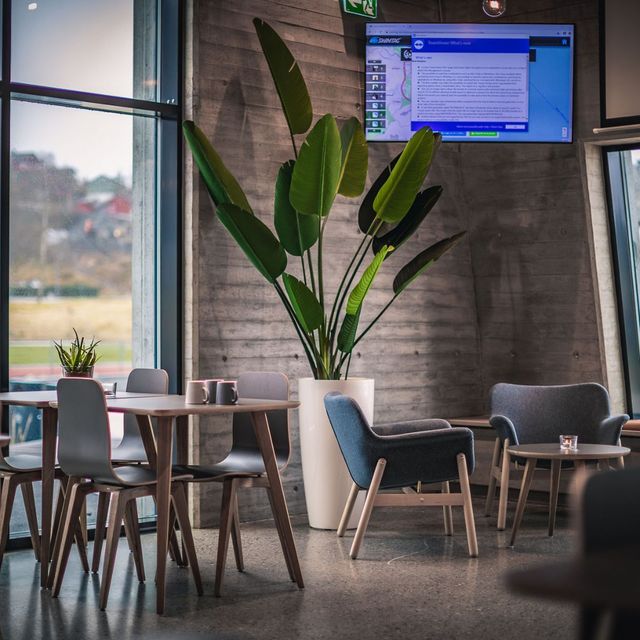 Kaféområde med moderne innredning